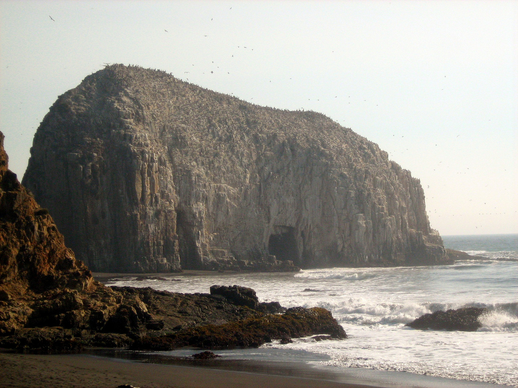 Vista de Constitución
