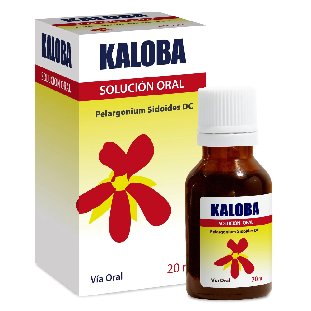 KALOBA PELARGONIUM SIDOIDES DC 0.8 G/ML X 20 ML SOL ORAL (8/D)