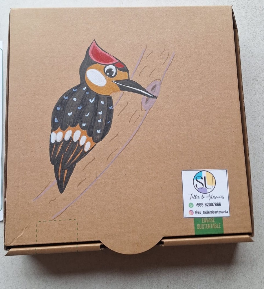 Kit Pajaro Carpintero