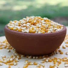 MAIZ CURAGUA