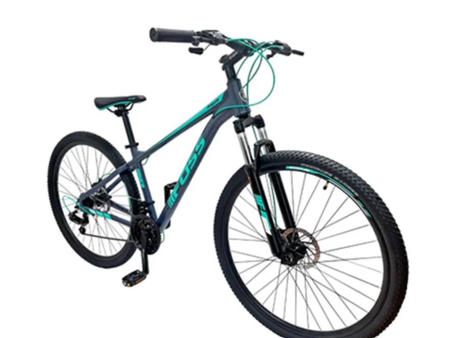 Bicicletas FOSS Aqua 29 Aluminio Grey/Turquoise ( S/M )