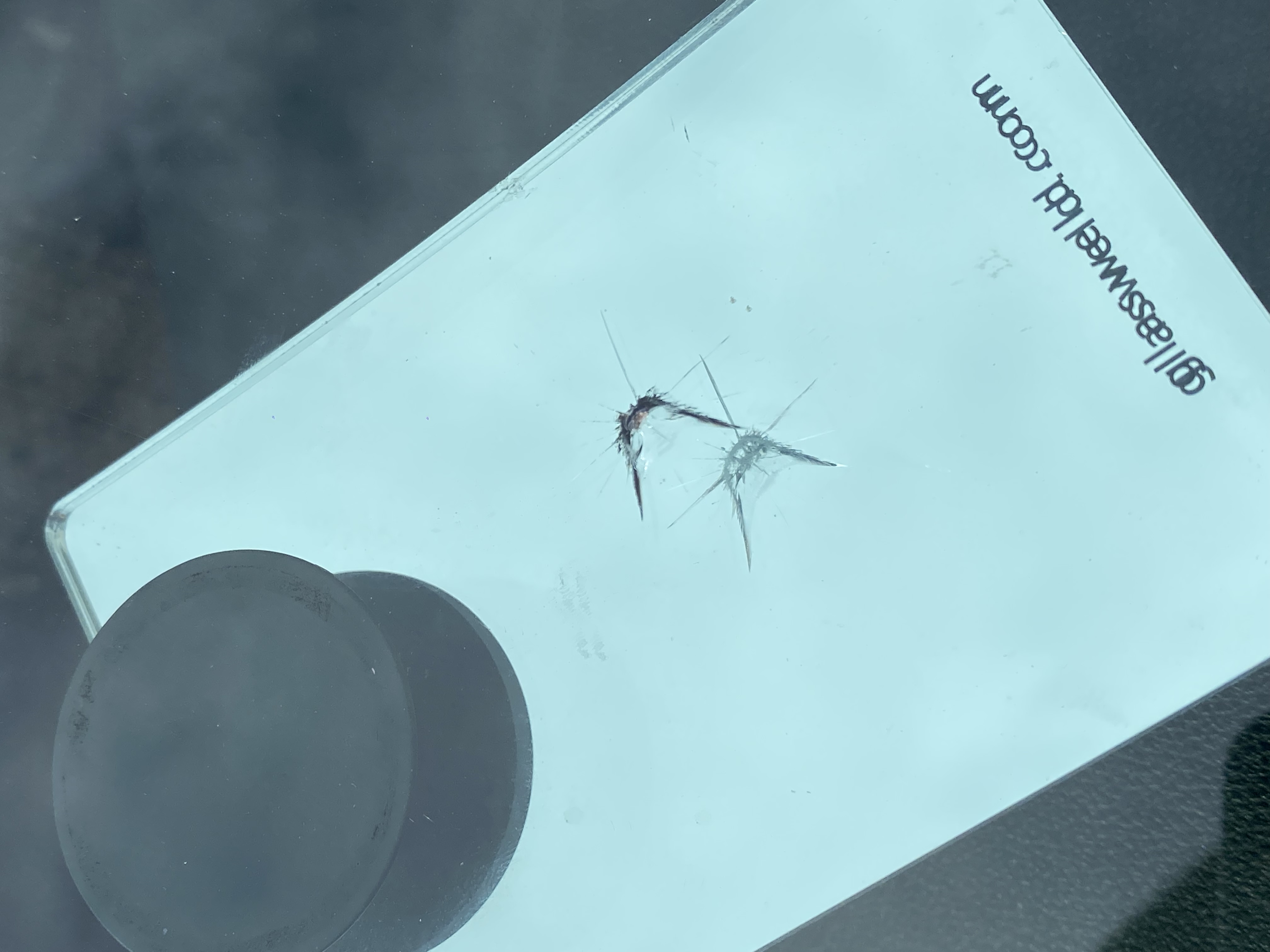 Reparación de parabrisas (Piquete-Trizadura)