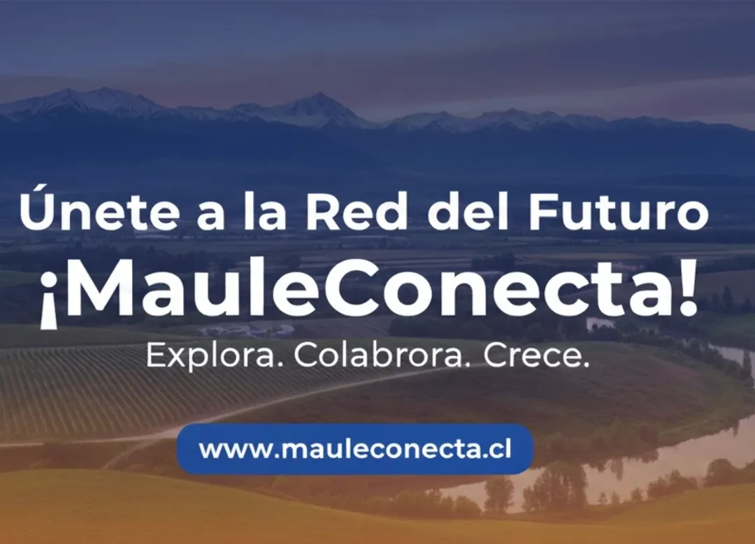 ¡Potencia tu presencia digital con MauleConecta!